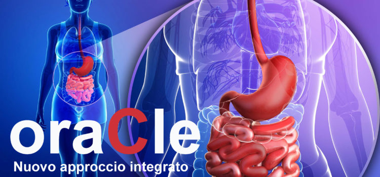 oraCle – 2nd project meeting oraCle – 2nd project meeting
